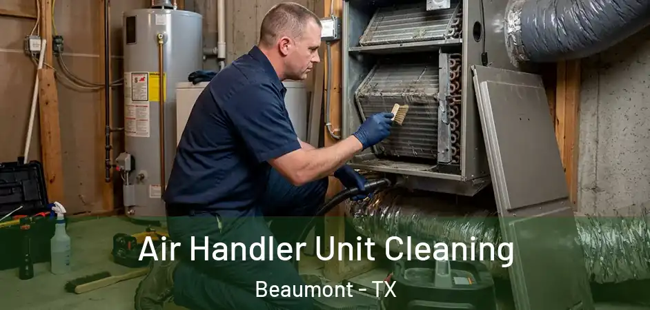  Air Handler Unit Cleaning Beaumont - TX