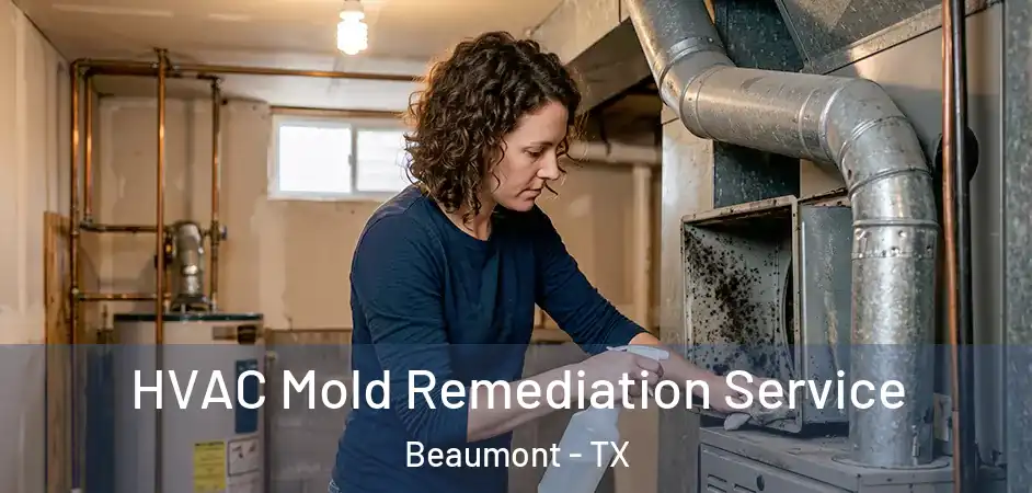 HVAC Mold Remediation Service Beaumont - TX