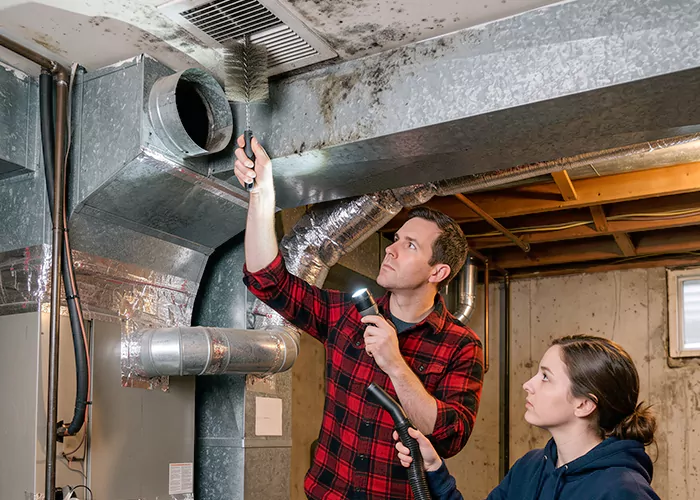 Premier HVAC Mold Remediation Company in Beaumont